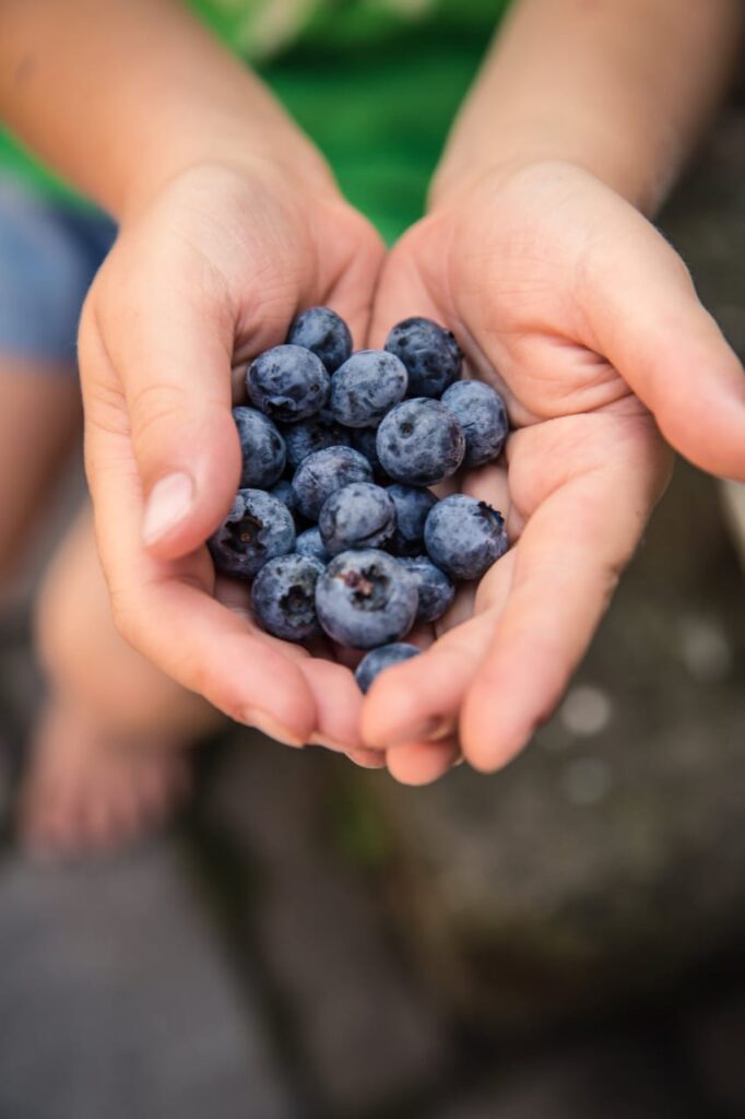 different types of berries