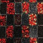 different types of berries