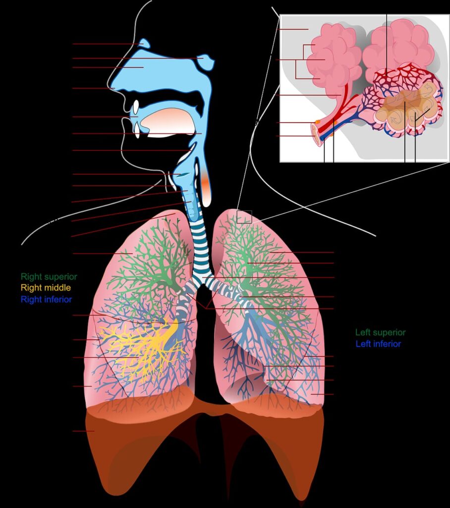 LUNG CANCER